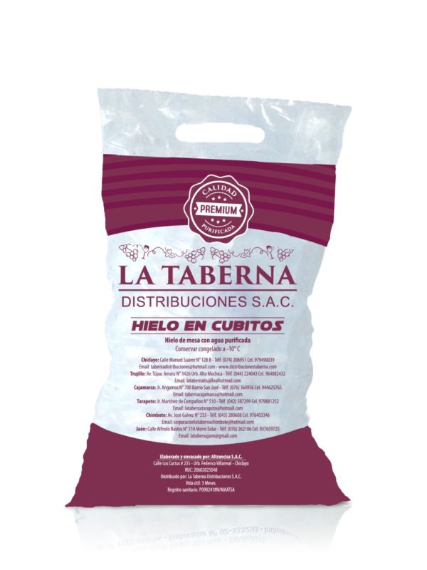 Bolsas Para Hielo con Asa - Imagen 4